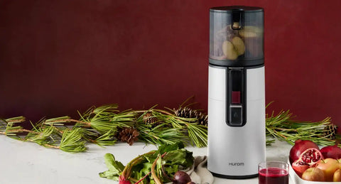 H400 Easy Clean Slow Juicer