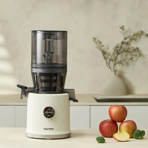 H80 Slow Juicer