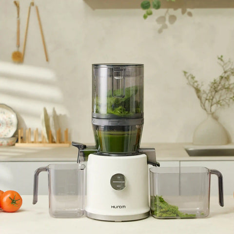 H80 Slow Juicer