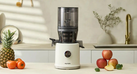 H80 Slow Juicer