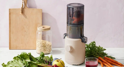 H310 Easy Clean Slow Juicer
