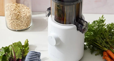 H310 Easy Clean Slow Juicer